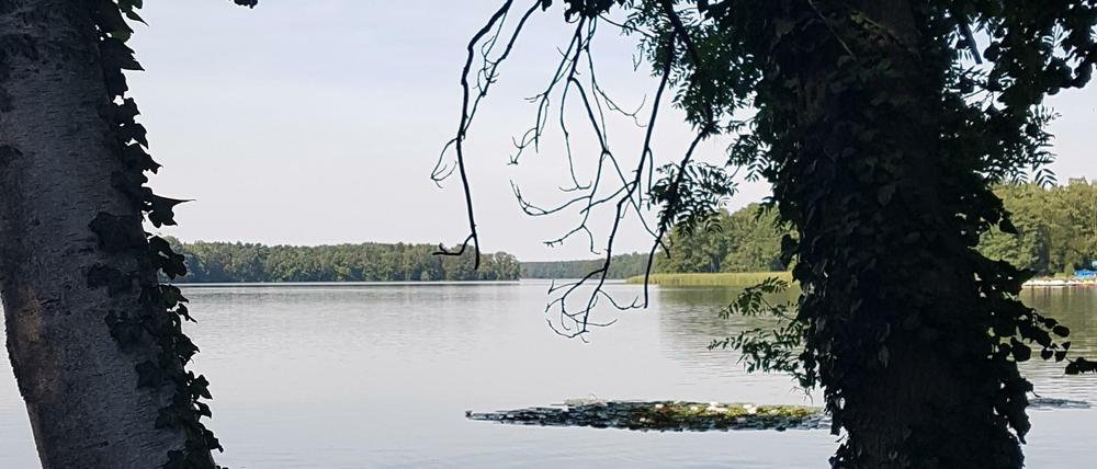 Der Klempowsee aus Richtung Süden aufgenommen.