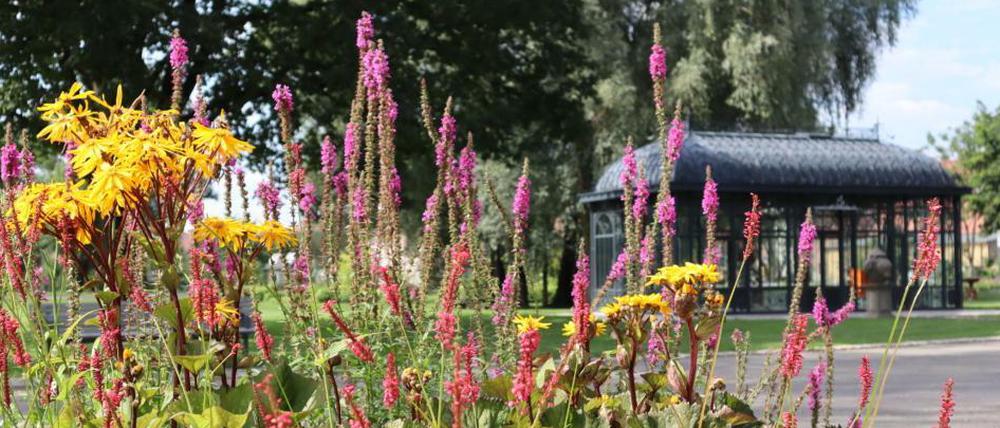 Von der Ausrichtung der Landesgartenschau verspricht sich Bürgermeister Bernhard Knuth mehr Aufmerksamkeit für Beelitz.