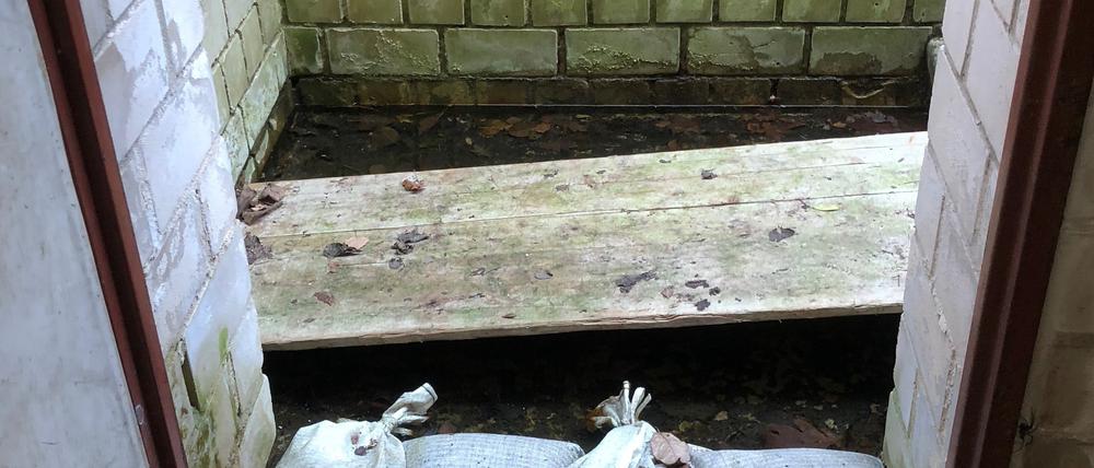 Druck von unten: Grundwasser dringt in einen Keller im Blumenviertel ein.