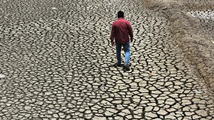 In Indien waren rund 70 Prozent von der Hitze betroffen. An vielen Orten überstiegen die Temperaturen die 45-Grad-Marke. Die indische Hauptstadt Neu-Delhi etwa meldete Anfang Mai 49 Grad.