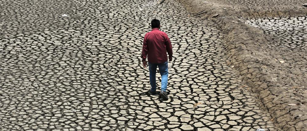 In Indien waren rund 70 Prozent von der Hitze betroffen. An vielen Orten überstiegen die Temperaturen die 45-Grad-Marke. Die indische Hauptstadt Neu-Delhi etwa meldete Anfang Mai 49 Grad.