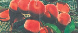 Das Diptychon der Düsseldorfer Malerin Karin Kneffel kommt bei Grisebach unter den Hammer. Schätzpreis 150 000 bis 200 000 Euro.