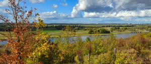 Blick vom polnischen Oderufer auf den Nationpark Unteres Odertal – Polen will den Fluss ausbauen.