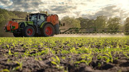 Rund ein Drittel der 97.000 untersuchten Proben von Erdbeeren und anderen Früchten enthalten problematische Pestizidrückstände.