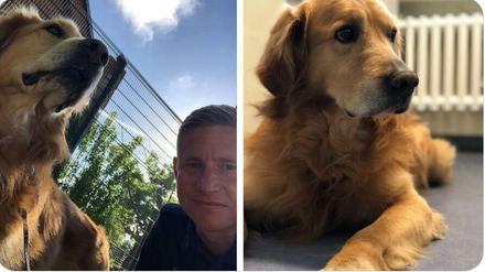 Hund Luky wartet bei der Polizei auf seine Besitzer.