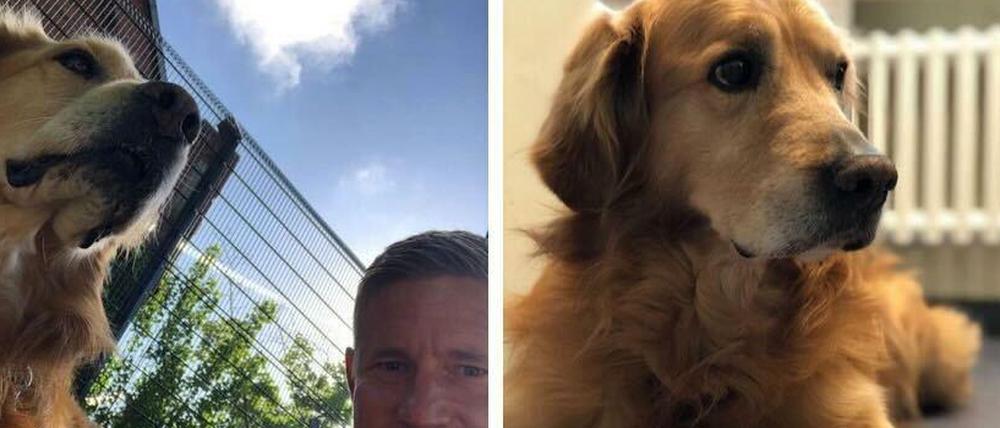Hund Luky wartet bei der Polizei auf seine Besitzer.