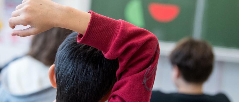 Muttersprache, Herkunftssprache: Wie die Sprachkenntnisse von Berliner Schülern erhoben werden, handhaben Schulen unterschiedlich.