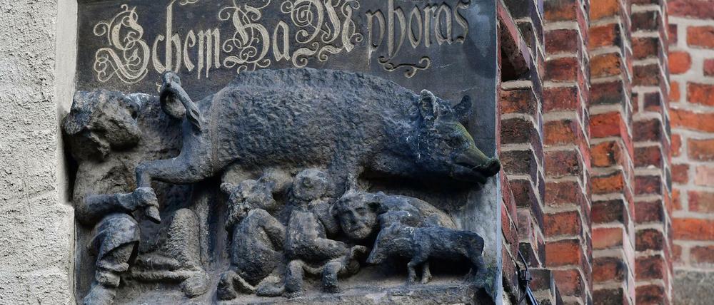Die mittelalterliche Schmähskulptur an der Außenmauer der Stadtkirche Sankt Marien in Wittenberg. Sie stammt aus dem 13. Jahrhundert.