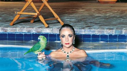 Die große Illusion. Helmut Newton fotografierte Elizabeth Taylor 1985 für die "Vogue".