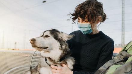 Hunde dürfen Bahn fahren, brauchen je nach Größe aber ein eigenes Ticket.