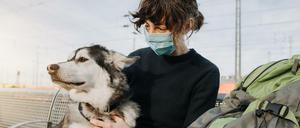 Hunde dürfen Bahn fahren, brauchen je nach Größe aber ein eigenes Ticket.