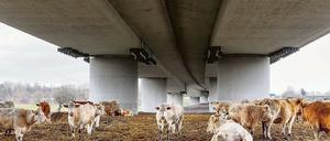 Muh. Untersicht der A 40 – in den Ruhrauen am Duisburger Kreuz.