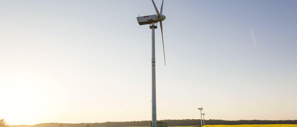 Windrad auf Rügen. Alternative Energien und Tourismus sind zwei der Zukunftsbranchen in den ostdeutschen Bundesländern.