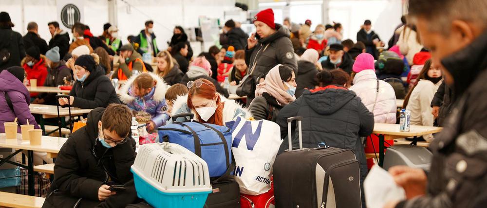 Für ukrainische Kriegsflüchtlinge steht ein Systemwechsel an: Vom 1. Juni an sind für ihre Betreuung bundesweit nicht mehr die Sozialämter sondern die Jobcenter zuständig. 
