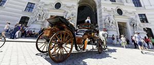 Ein Fiaker am Michaelerplatz in Wien.