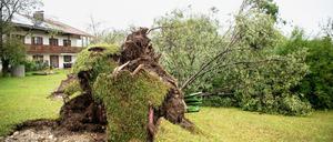 Ein umgestürzter Baum liegt vor einem Wohnhaus in Halfing (Bayern). 