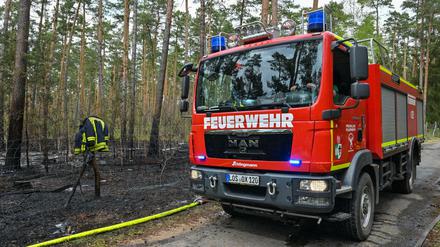 Ein Löschfahrzeug der Freiwilligen Feuerwehr steht neben einem gelöschten Waldbrand in Briesen. Mit den steigenden Temperaturen hat in Brandenburg die Gefahr von Waldbränden stark zugenommen.