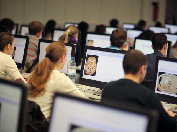 Studierende sitzen an Computerbildschirmen und absolvieren eine Online-Prüfung.