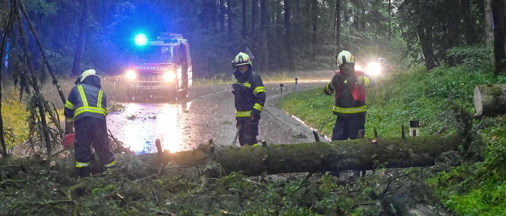 Feuerwehrleute beseitigen in Braunau in Österreich einen umgeknickten Baum.