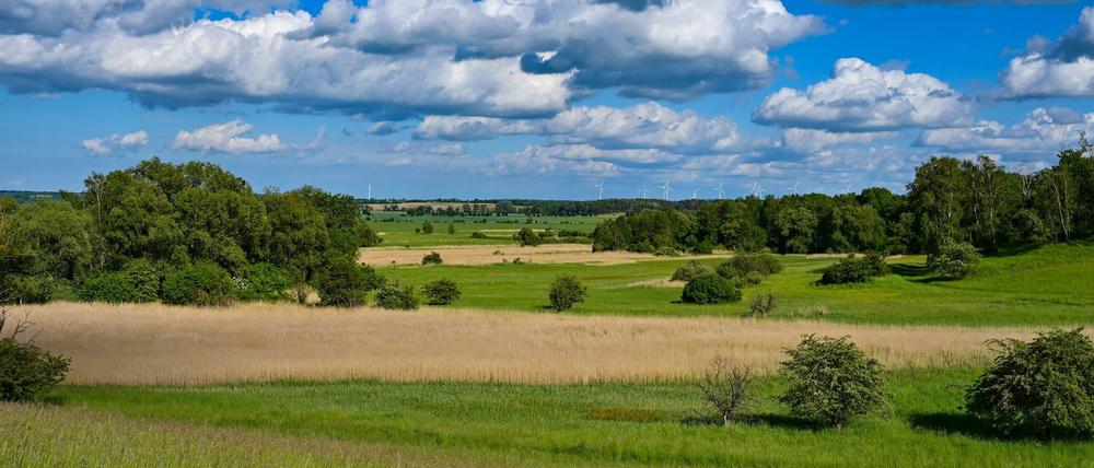 Brandenburg, Mallnow: Wolken ziehen über die Landschaft eines Naturschutzgebietes am Rande des Oderbruchs.
