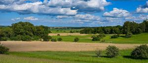 Brandenburg, Mallnow: Wolken ziehen über die Landschaft eines Naturschutzgebietes am Rande des Oderbruchs.
