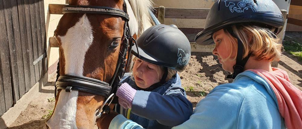 Ponyführen, Reitvorführungen, Pferdetraining - oder einfach mal streicheln: Auch der Pferdesportverein Töplitz in Leest bei Potsdam nimmt an der Landpartie teil.