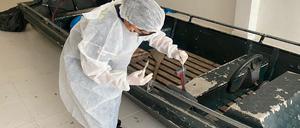 Forensiker bei der Untersuchung eines Bootes nach dem Verschwinden des britischen Journalisten Dom Philipps.