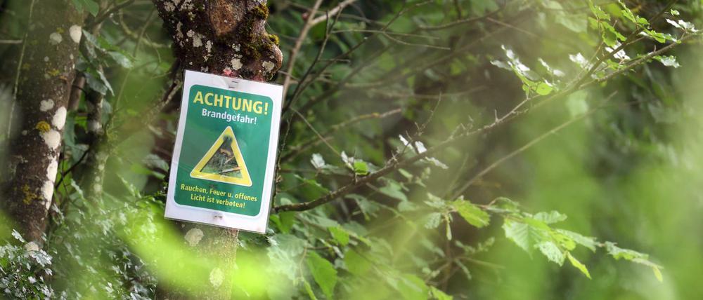 Auch eine aus dem Auto geworfene Zigarettenkippe oder heiße Auspuffteile können gefährlich sein und Brände auslösen