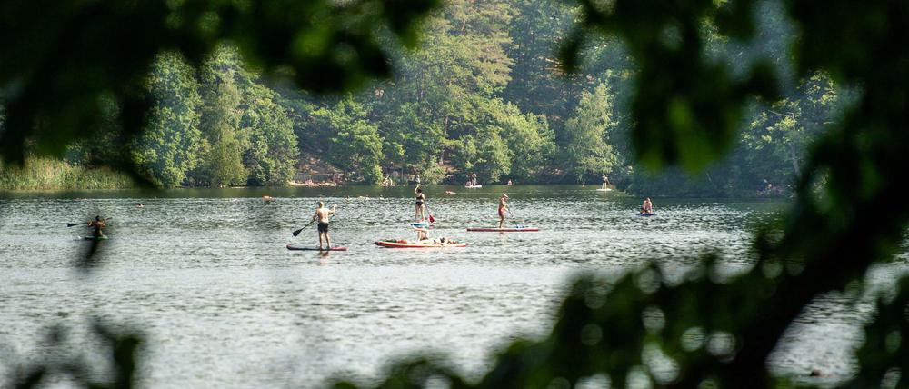Stand-Up Paddler fahren auf dem Schlachtensee. In diesem See wie in anderen Gewässern gab es in den Vorjahren Hinweise auf Saugwürmer im Wasser. Ihre winzigen Larven, die so genannten Zerkarien, treten vermehrt an Ufern mit vielen Pflanzen und Vögeln auf und können Hautentzündungen verursachen.