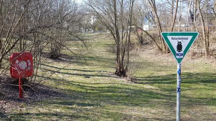 Dem Gänsepfuhl nahe dem Volkspark Mariendorf hilft auch kein Rettungsring.