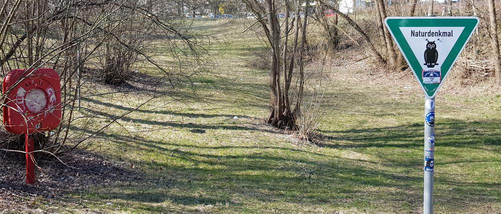 Dem Gänsepfuhl nahe dem Volkspark Mariendorf hilft auch kein Rettungsring.