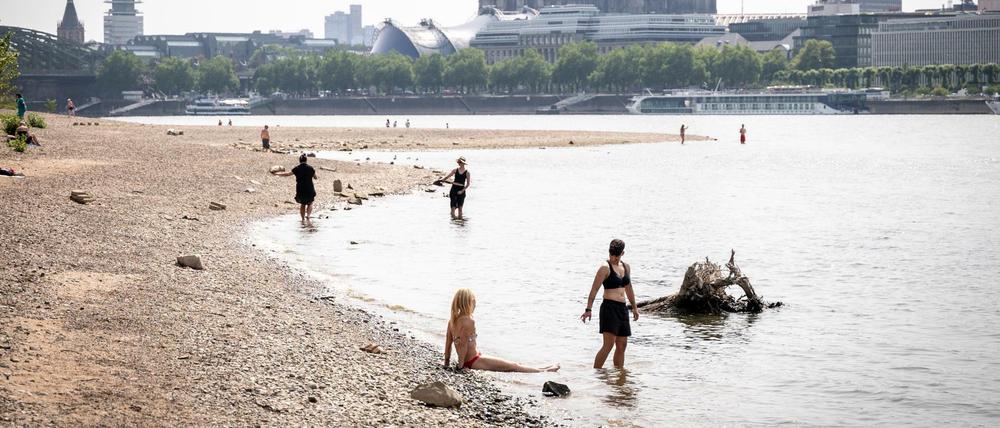 Menschen baden bei niedrigem Wasserstand im Rhein, im Hintergrund ist der Kölner Dom zu sehen.