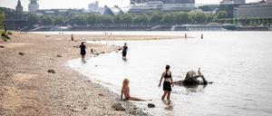 Menschen baden bei niedrigem Wasserstand im Rhein, im Hintergrund ist der Kölner Dom zu sehen.