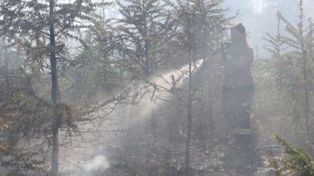 Einsatzkräfte der Feuerwehr löschen einen Waldbrand. (Symbolbild)