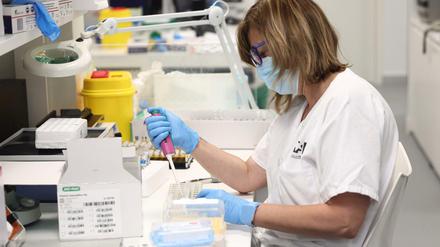 Eine Labortechnikerin arbeitet mit PCR-Tests im mikrobiologischen Labor eines öffentlichen Krankenhauses. 