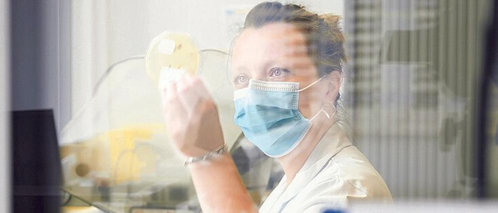 Erfolgreiche Forschung. Die Mikrobiologin Steffi Rocchi hat den zunehmend resistenten Schimmelpilz Aspergillus fumigatus in der Umwelt nachgewiesen.