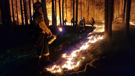 Brandenburg, Beelitz: Einsatzkräfte der Hilfsorganisation @fire legen Gegenfeuer, um eine weitere Ausbreitung des Waldbrandes zu verhindern und die Feuerwehr bei der Bekämpfung des Feuers zu unterstützen. Der Waldbrand bei Beelitz (Potsdam-Mittelmark) ist mittlerweile unter Kontrolle.