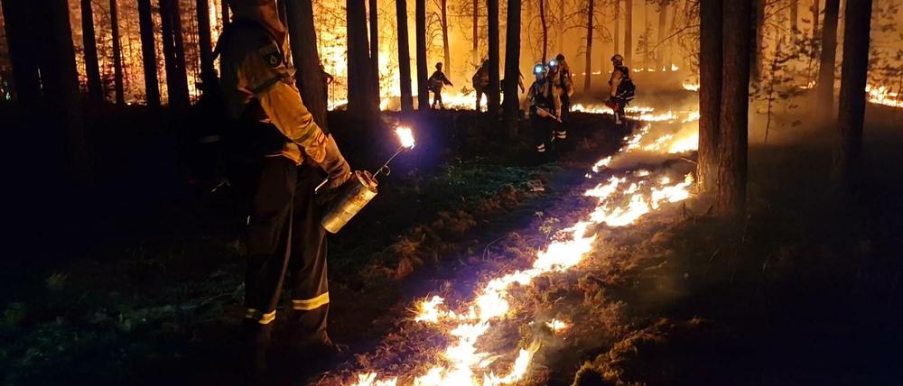 Brandenburg, Beelitz: Einsatzkräfte der Hilfsorganisation @fire legen Gegenfeuer, um eine weitere Ausbreitung des Waldbrandes zu verhindern und die Feuerwehr bei der Bekämpfung des Feuers zu unterstützen. Der Waldbrand bei Beelitz (Potsdam-Mittelmark) ist mittlerweile unter Kontrolle.