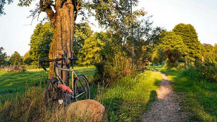 Brandenburg, des Stadtradlers Sehnsuchtsland! Weite Himmel, menschenleere Radwege, Vogelgezwitscher am Fluss, hach! 