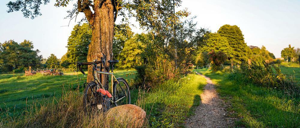 Kommen Sie mit auf Tour! Mit der neuen Newsletter-Serie „Radfahren" erhalten Sie fünf Radtouren direkt in Ihr Postfach.