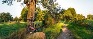 Brandenburg, des Stadtradlers Sehnsuchtsland! Weite Himmel, menschenleere Radwege, Vogelgezwitscher am Fluss, hach! 