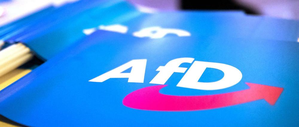 Fähnchen mit dem Logo der AfD bei einem Parteitag (Archivbild)