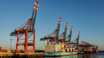 Ruhende Kräne: Containerschiffe liegen zur Abfertigung an den Terminals im Hamburger Hafen.