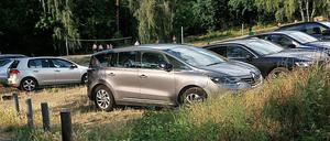 Autofahrer haben einen Holzpflock aus dem Boden gerissen und parken in einem Feld am Glienicker See in Berlin-Kladow.