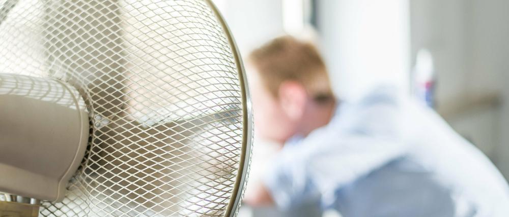 2022 hat die Stiftung Warentest 20 Ventiltoren getestet. (Symbolbild, 2019)