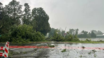 Nordrhein-Westfalen, Krefeld: Äste liegen nach einem Unwetter am 30. Juni 2022 auf einer Straße.