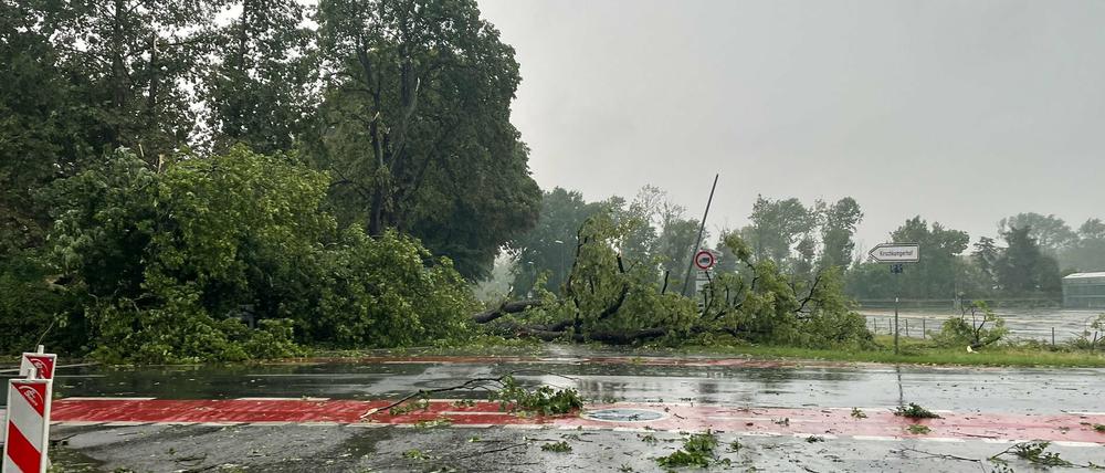 Nordrhein-Westfalen, Krefeld: Äste liegen nach einem Unwetter am 30. Juni 2022 auf einer Straße.