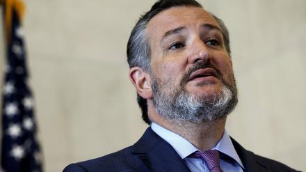 Der republikanische Senator Ted Cruz 