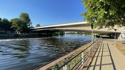 Blick vom Havelufer auf die Dischingerbrücke in Berlin-Spandau.