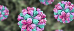 Rund 300 Millionen Infektionen mit Noro- und Rotaviren gibt es jährlich allein bei Kindern.